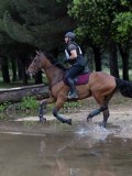 IMG_2443 IMG_2443