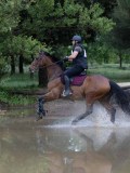 IMG_2447 IMG_2447