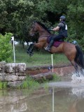 IMG_2452 IMG_2452