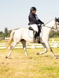 DSC00143 DSC00143