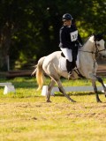 DSC00153 DSC00153