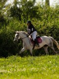 DSC01821 DSC01821