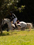 DSC01823 DSC01823