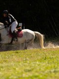 DSC01825 DSC01825