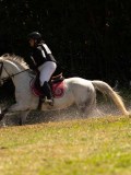 DSC01826 DSC01826