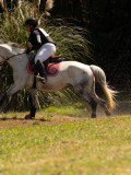 DSC01827 DSC01827