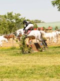 DSC01828 DSC01828