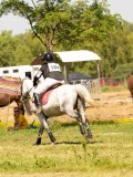 DSC01829 DSC01829