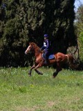IMG_1447 IMG_1447