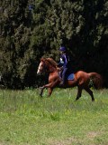 IMG_1448 IMG_1448