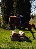 IMG_1450 IMG_1450