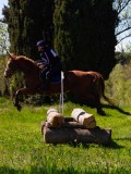 IMG_1451 IMG_1451