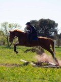 IMG_1453 IMG_1453