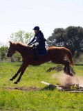IMG_1454 IMG_1454