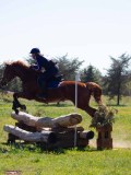 IMG_1457 IMG_1457