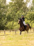 DSC03378 DSC03378
