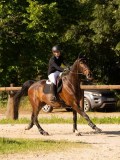 DSC09558 DSC09558