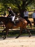 DSC09566 DSC09566