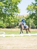 DSC07832