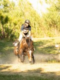 DSC00560 DSC00560