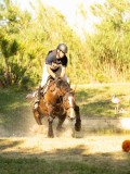 DSC00561 DSC00561
