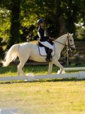 DSC00164 DSC00164