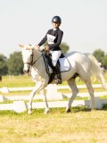 DSC00168 DSC00168