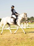 DSC00178 DSC00178