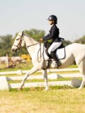DSC00184 DSC00184