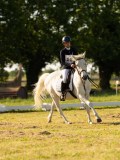 DSC00190 DSC00190