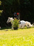 DSC01783 DSC01783