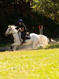 DSC01784 DSC01784