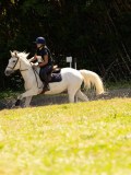 DSC01785 DSC01785