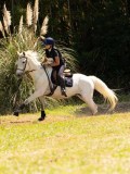 DSC01786 DSC01786