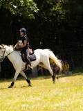 DSC01787 DSC01787