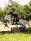 DSC01790 DSC01790