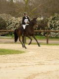 DSC09368 DSC09368