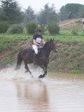 IMG_0239 IMG_0239