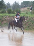 IMG_0240 IMG_0240