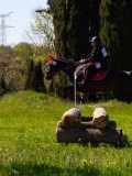 IMG_1464 IMG_1464