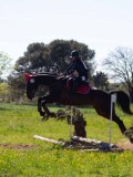 IMG_1469 IMG_1469