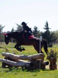 IMG_1475 IMG_1475