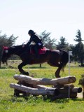 IMG_1476 IMG_1476