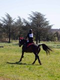 IMG_1481 IMG_1481