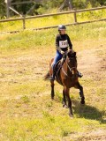 DSC03516 DSC03516