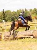 DSC03524 DSC03524