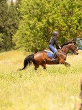 DSC03525 DSC03525
