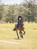 IMG_9341 IMG_9341
