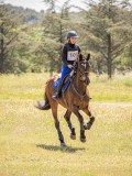 IMG_9342 IMG_9342