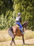 IMG_9347 IMG_9347
